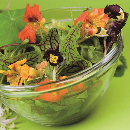 Salade de Fleurs - Fleurs Séchées comestibles