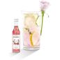 Coffret sirops Monin pour Gin Tonic - 5 X 5 Cl