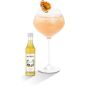 Coffret sirops Monin pour Gin Tonic - 5 X 5 Cl