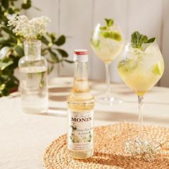 Coffret sirops Monin pour Spritzer et Apéritif - 5 x 5 cl