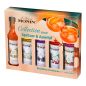 Coffret sirops Monin pour Spritzer et Apéritif - 5 x 5 cl Coffret sirops Monin pour Spritzer et Apéritif - 5 x 5 cl