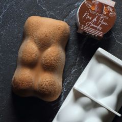 Moule Bûche de Noel Ourson en silicone