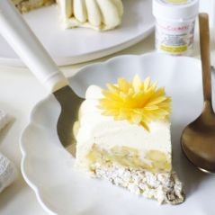 Moule Bûche de Noel Etoile en silicone