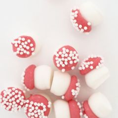Décoration en Sucre Champignons