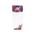 Lot de 5 Sachets pour biscuits décor Père Noël - 10 x 22 cm