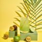 Sirop Kiwi 70 cl - Monin