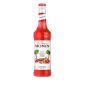 Sirop Rhubarbe 70 cl - Monin