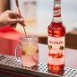 Sirop Rhubarbe 70 cl - Monin