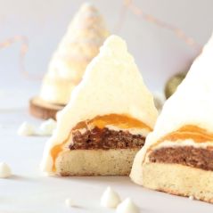 Entremets de Noël réalisés avec un moule sapins 3D