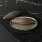 Moule trompe-l’œil gousse de vanille en silicone – 6 empreintes