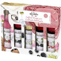 Coffret sirops Monin pour Spritzer et Apéritif - 5 x 5 cl
